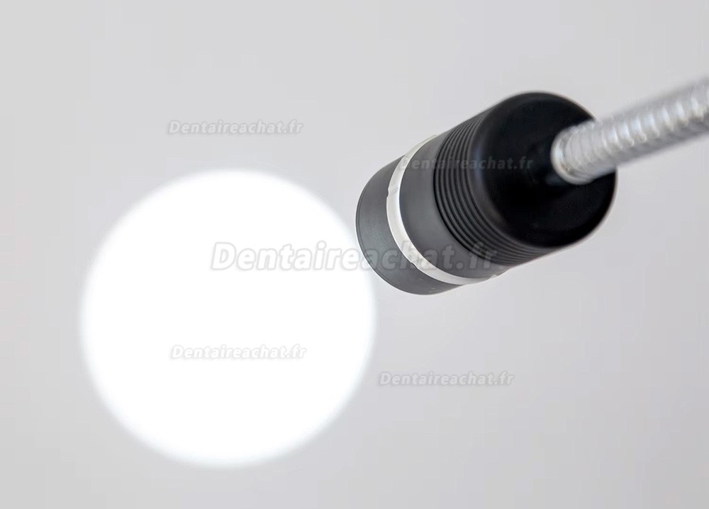 Lampe d'examen dentaire mobile Micare JD1200L 12 W (ouverture et luminosité réglables)